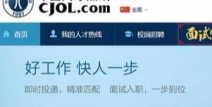 中国人才热线登录,解锁职业发展新篇章