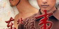 东北往事之黑道风云全集免费观看,揭秘黑帮传奇，免费观看全集
